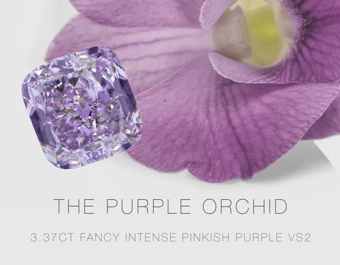 LEIBISH Purple Orchid